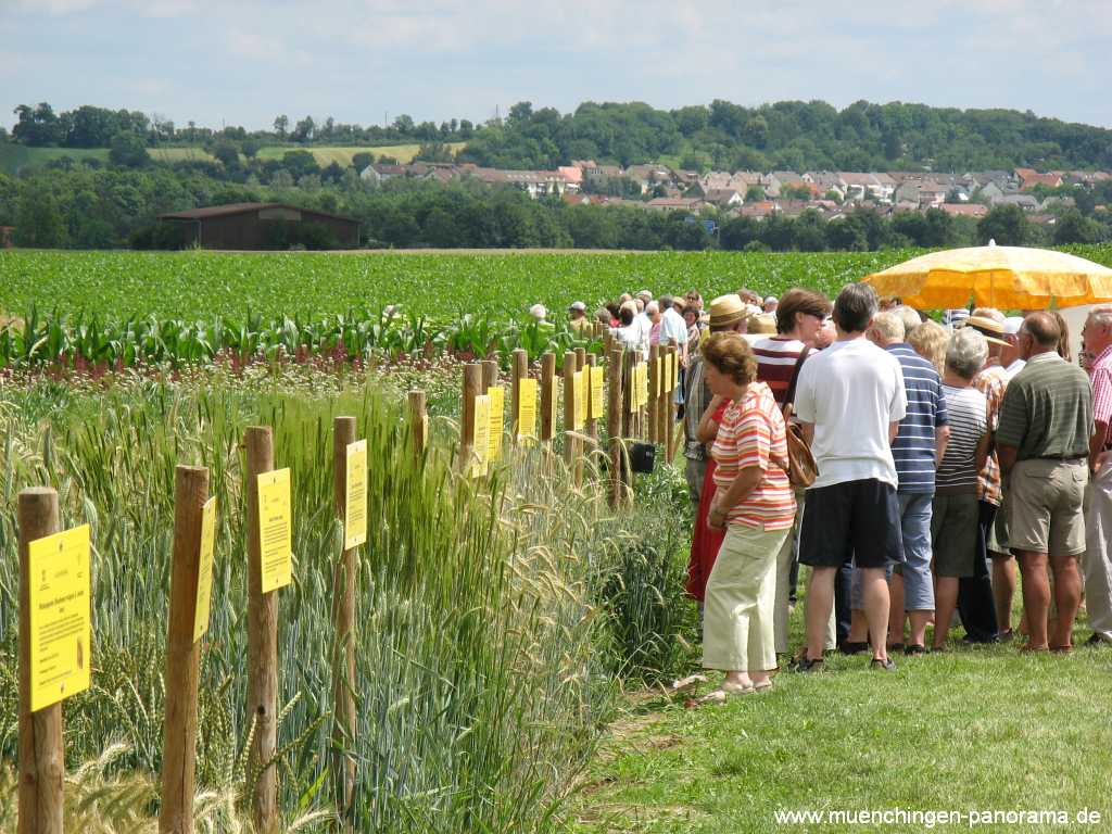 2008 Acker-Lehrpfad Münchingen Bild23