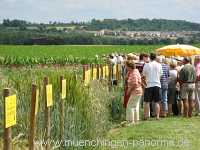 2008 Acker-Lehrpfad Münchingen Bild23