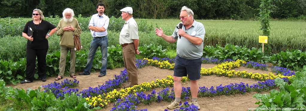 Bilder-Galerien: Acker-Lehrpfad 2009 bei Münchingen