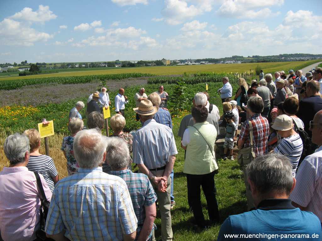 2015 Acker-Lehrpfad Münchingen Bild14