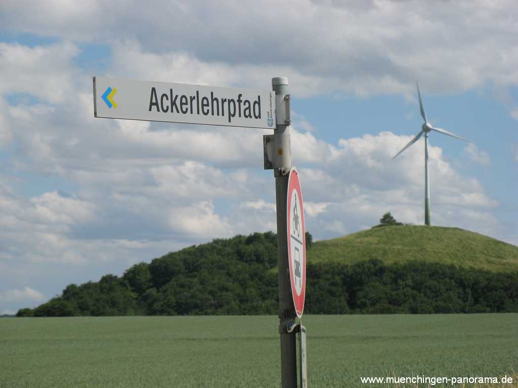 2015 Acker-Lehrpfad Münchingen Bild50