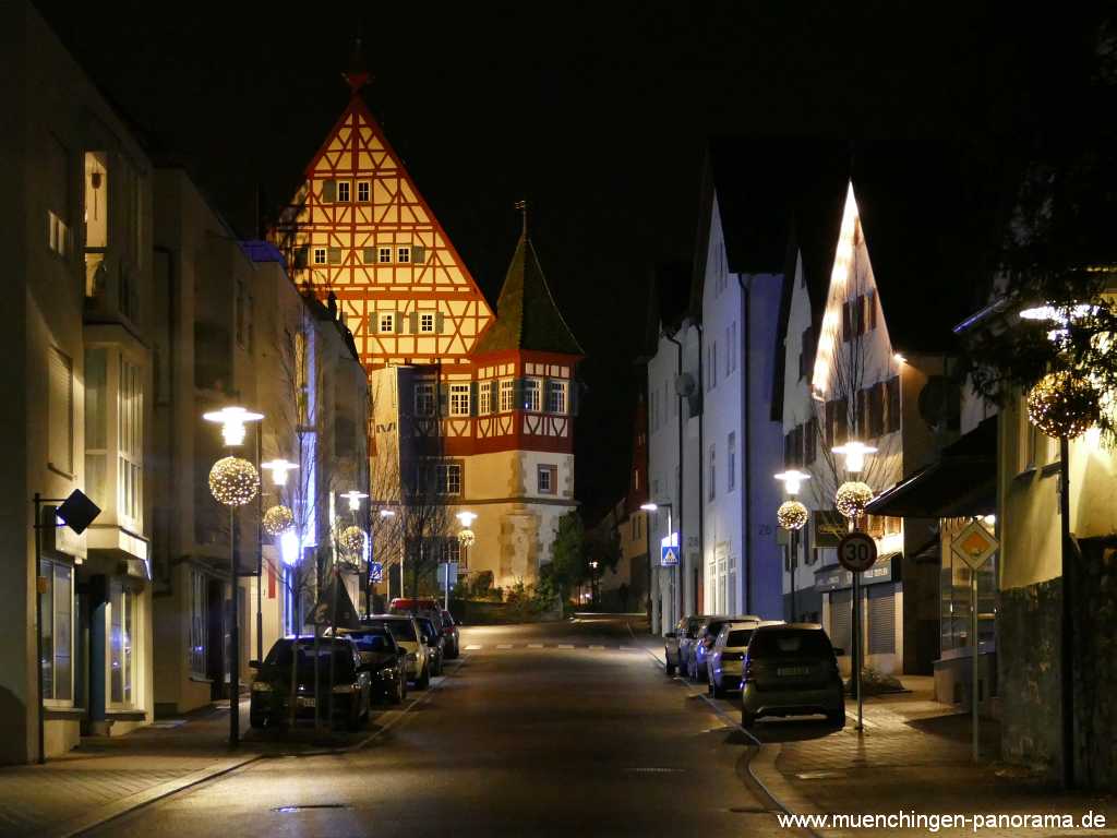 Rathaus Gemeinde Münchingen Bild45