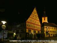 Rathaus Gemeinde Münchingen Bild48