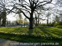 Flattich-Linde Jahreszeiten Münchingen Bild03
