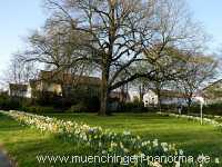 Flattich-Linde Jahreszeiten Münchingen Bild06