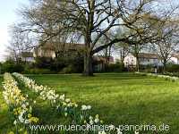 Flattich-Linde Jahreszeiten Münchingen Bild07