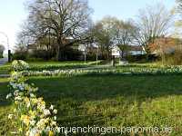 Flattich-Linde Jahreszeiten Münchingen Bild16