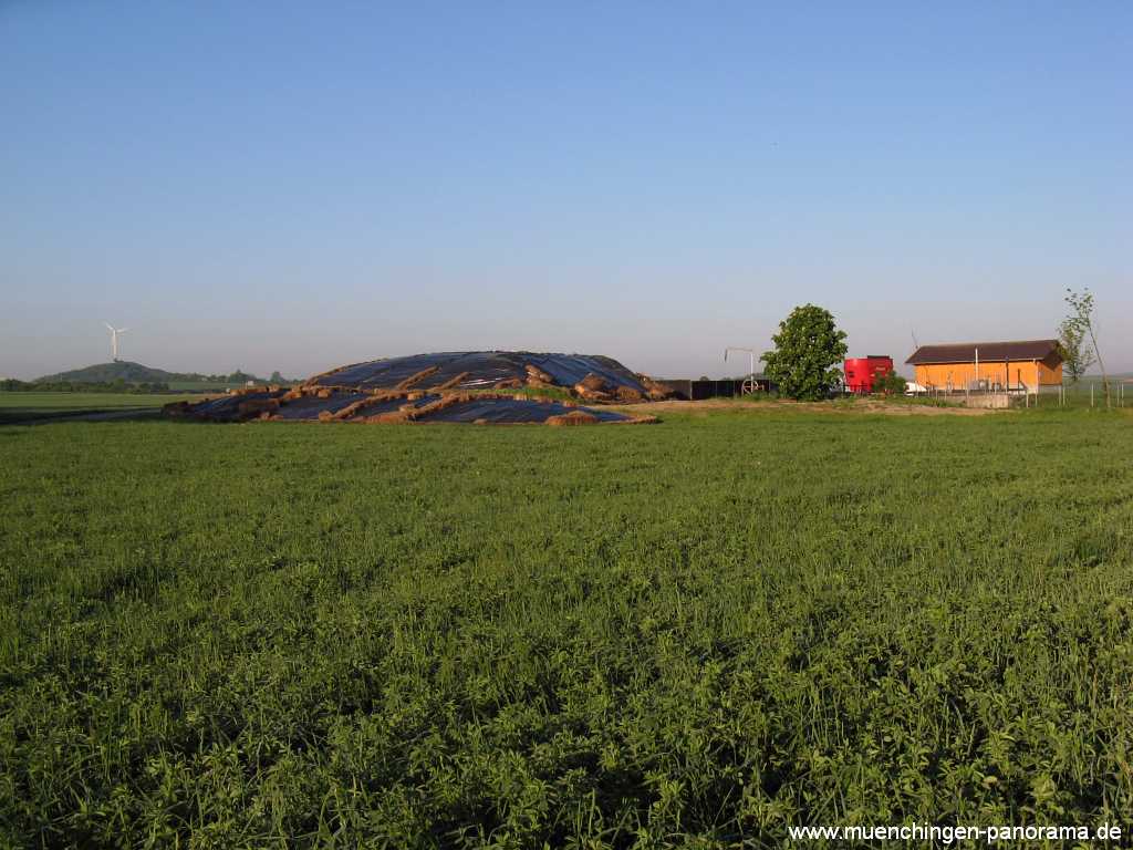 fruehjahr Jahreszeiten Münchingen Bild03