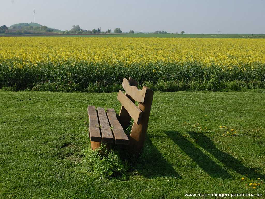 fruehjahr Jahreszeiten Münchingen Bild07