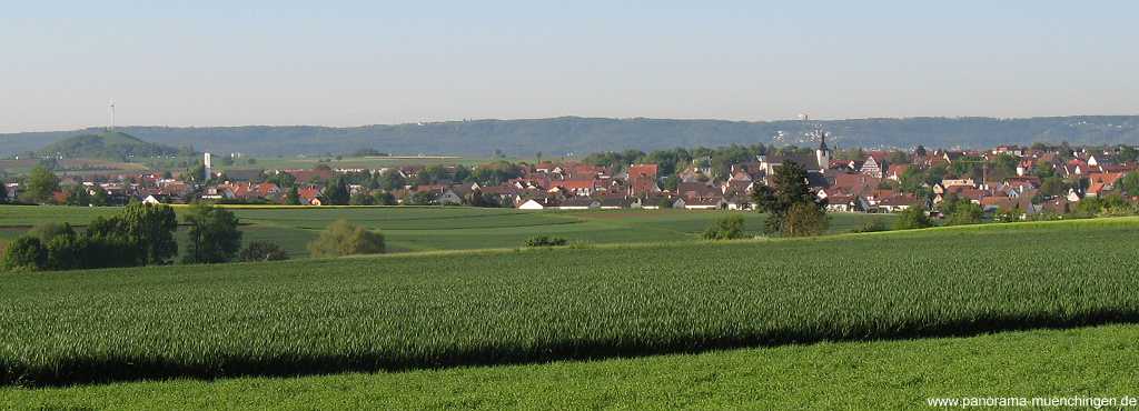 Bilder-Galerien: Frühjahr Jahreszeiten Münchingen