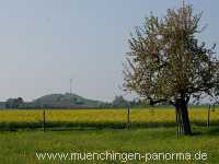 fruehjahr Jahreszeiten Münchingen Bild10