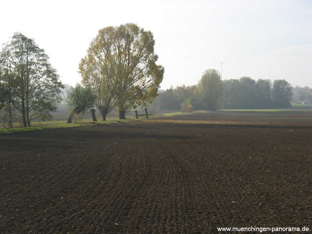 Herbst Jahreszeiten Münchingen Bild21