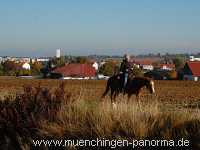 Herbst Jahreszeiten Münchingen Bild06