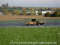 Herbst Jahreszeiten Münchingen Bild07