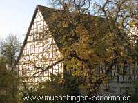 Herbst Jahreszeiten Münchingen Bild12