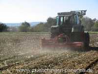 Herbst Jahreszeiten Münchingen Bild13