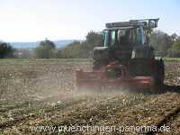 Herbst Jahreszeiten Münchingen Bild13