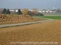 Herbst Jahreszeiten Münchingen Bild19