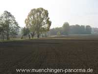 Herbst Jahreszeiten Münchingen Bild21