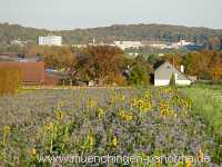 Herbst Jahreszeiten Münchingen Bild26