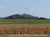 Herbst Jahreszeiten Münchingen Bild29