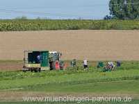 Herbst Jahreszeiten Münchingen Bild43