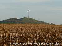 Herbst Jahreszeiten Münchingen Bild50