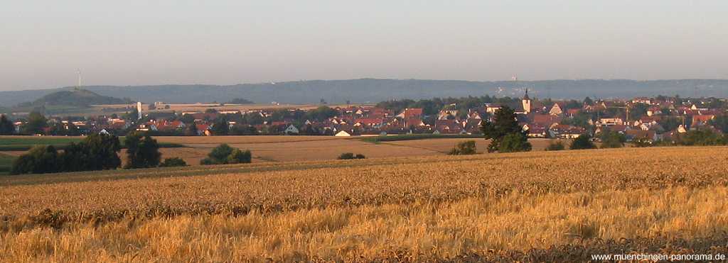 Bilder-Galerien: Sommer Jahreszeiten Münchingen