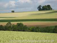 Sommer Jahreszeiten Münchingen Bild20