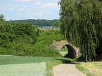 Sommer Jahreszeiten Münchingen Bild31