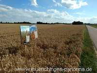 Sommer Jahreszeiten Münchingen Bild37