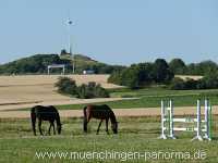 Sommer Jahreszeiten Münchingen Bild44