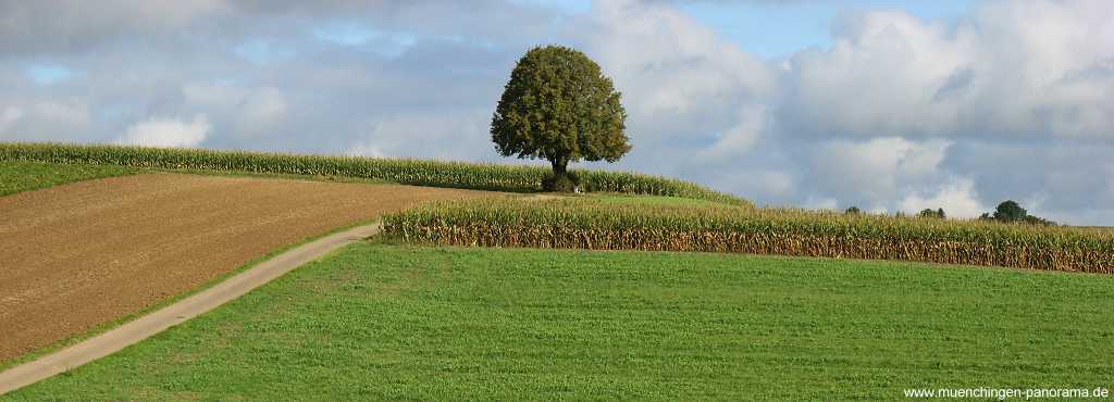 Bilder-Galerien: Strohgaeu Jahreszeiten Münchingen
