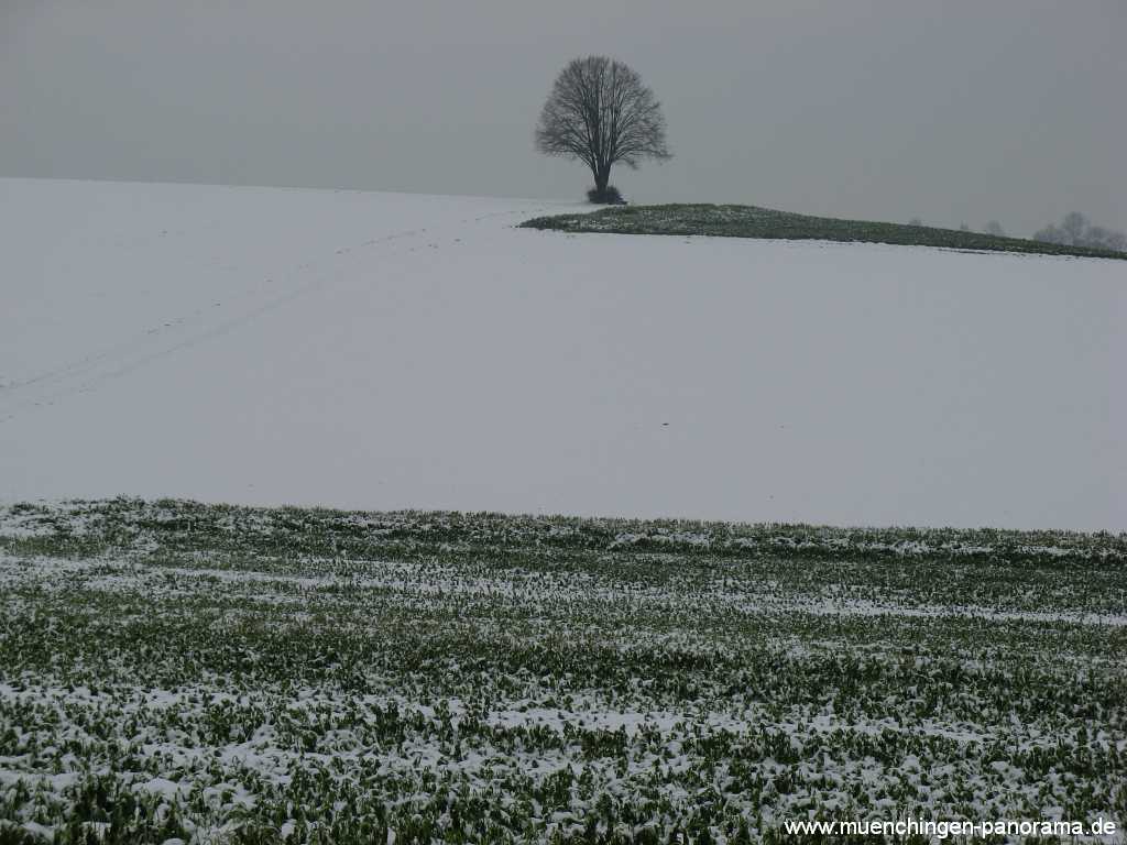 Strohgäu Jahreszeiten Münchingen Bild03