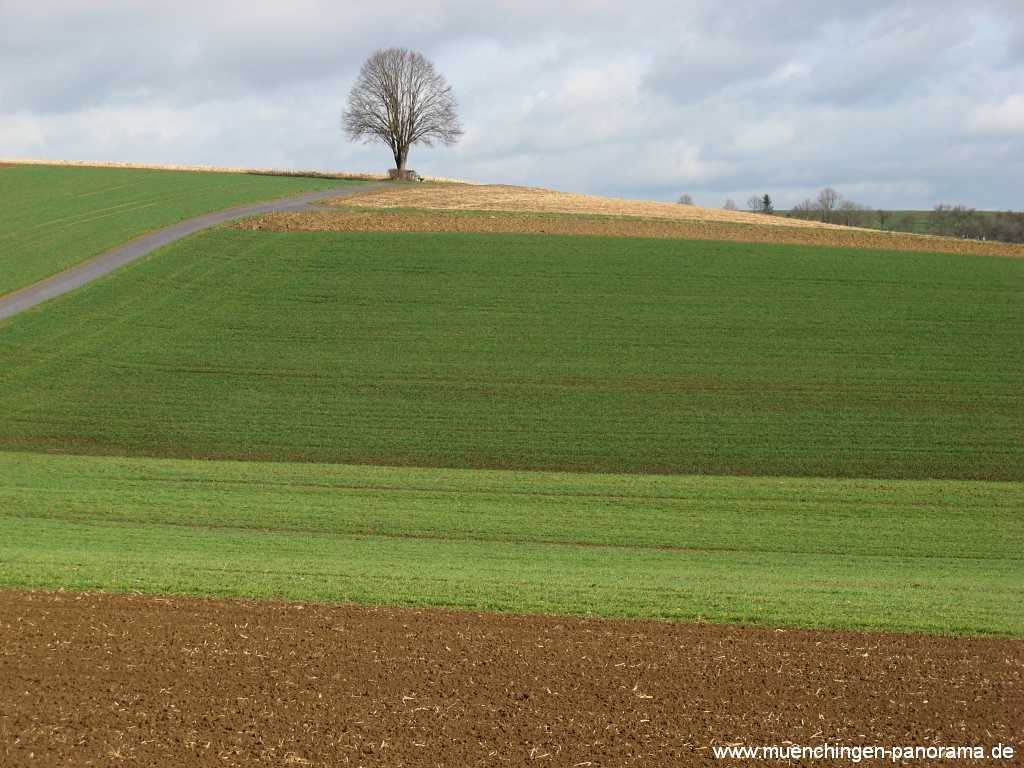 Strohgäu Jahreszeiten Münchingen Bild07