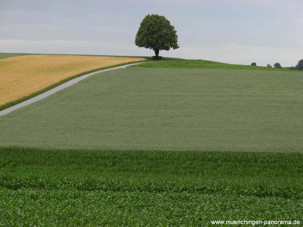 Strohgäu Jahreszeiten Münchingen Bild21