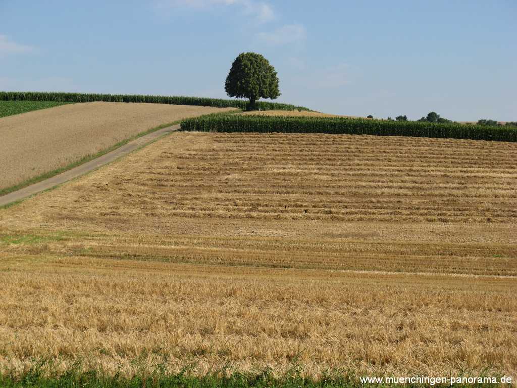 Strohgäu Jahreszeiten Münchingen Bild25