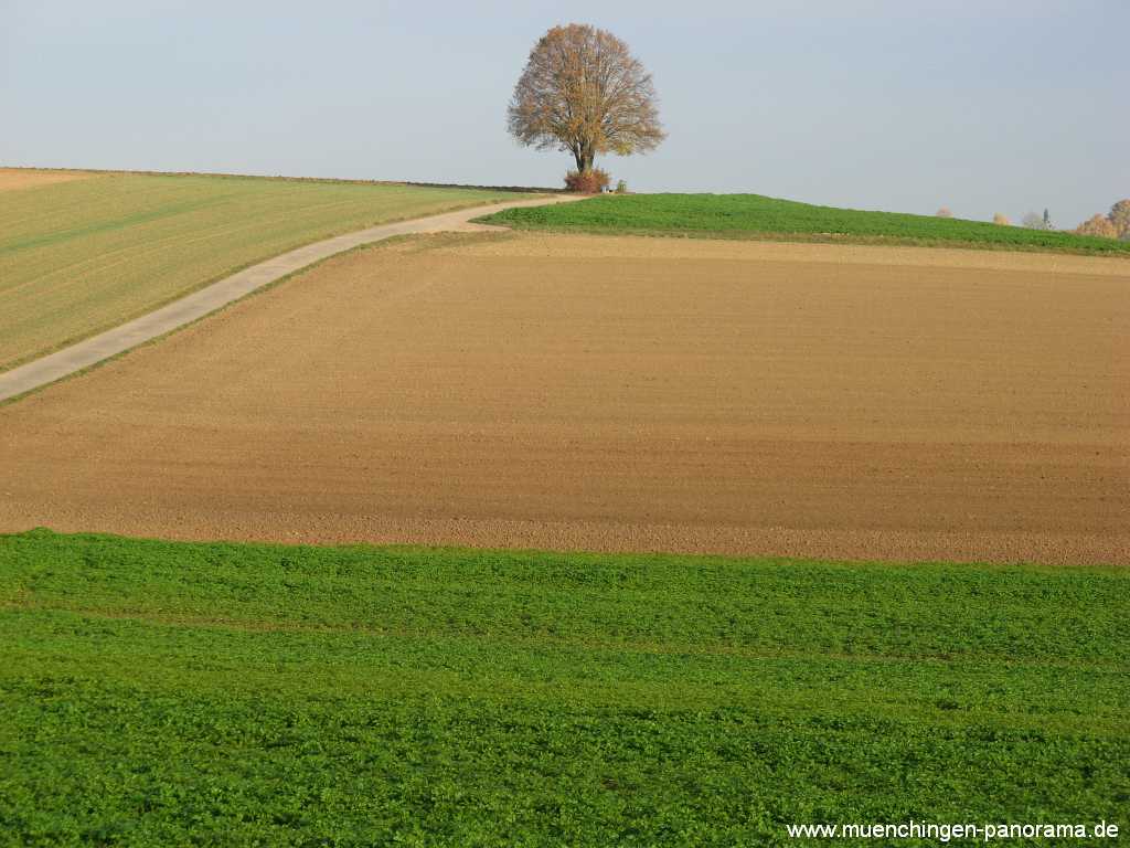 Strohgäu Jahreszeiten Münchingen Bild35