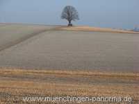 Strohgäu Jahreszeiten Münchingen Bild01