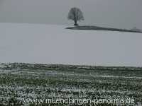 Strohgäu Jahreszeiten Münchingen Bild02