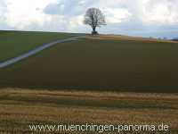 Strohgäu Jahreszeiten Münchingen Bild04
