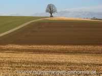 Strohgäu Jahreszeiten Münchingen Bild06