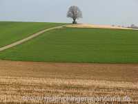 Strohgäu Jahreszeiten Münchingen Bild12