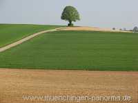 Strohgäu Jahreszeiten Münchingen Bild14