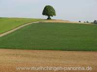 Strohgäu Jahreszeiten Münchingen Bild16