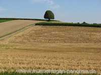 Strohgäu Jahreszeiten Münchingen Bild25