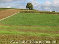 Strohgäu Jahreszeiten Münchingen Bild30