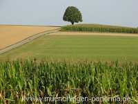 Strohgäu Jahreszeiten Münchingen Bild31