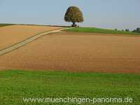 Strohgäu Jahreszeiten Münchingen Bild33