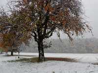 winter Jahreszeiten Münchingen Bild16